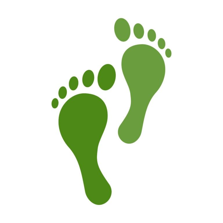 Carbon neutral footprint, vector label design, icon